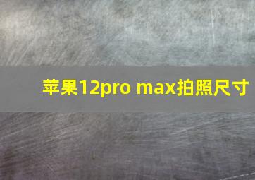 苹果12pro max拍照尺寸